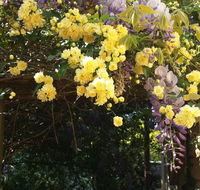 Bowral Road Bed and Breakfast - Tourism Noosa