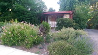 Bright's Wombat's Retreat