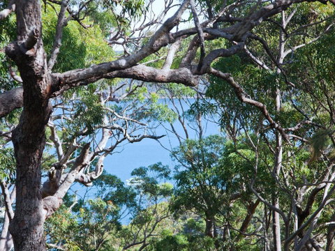 Bynya - 100m To Jonahs! - Tourism Noosa 1