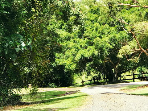 Cadaghi Cottage - Tourism Noosa 0