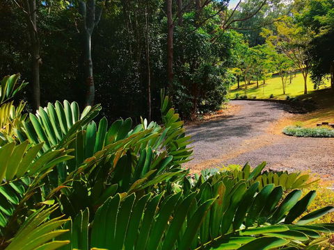 Cadaghi Cottage - Tourism Noosa 2
