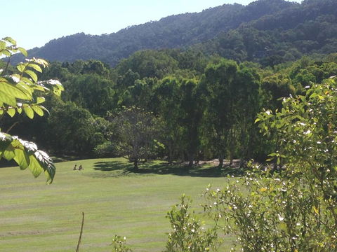 Cairns Rainforest View Resort Apartment - Tourism Noosa 2