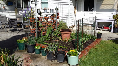 Carisbrook Cottage Queenscliff - Tourism Noosa 1