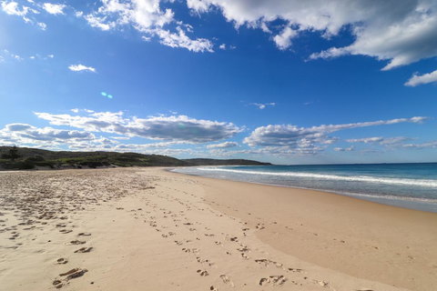 Catho Cottage - Tourism Noosa 2