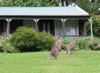 Book Mount Victoria Accommodation Vacations Tourism Noosa Tourism Noosa
