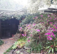 Charming country house close to Grafton - Tourism Noosa