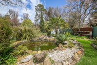 Book Bright Accommodation Vacations Tourism Noosa Tourism Noosa