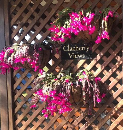 Clacherty Views - Tourism Noosa 3