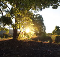Clarendon Forest Retreat - Tourism Noosa