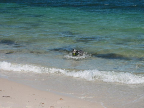 Close To The Myall River - Pet Welcome - Tourism Noosa 3