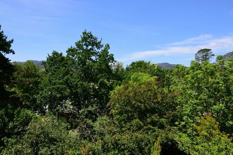 Cloudsong Chalet 3 - Close To The Village Centre! - Tourism Noosa 2