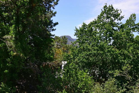 Cloudsong Chalet 4 - Close To The Village Centre! - Tourism Noosa 3