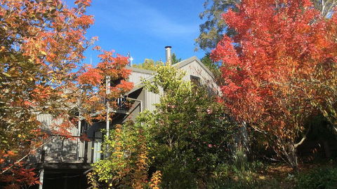 Cloudsong Chalet 4 - Close To The Village Centre! - Tourism Noosa 0