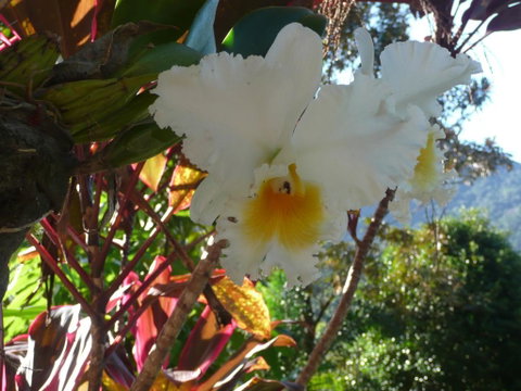 Coral Sea Views - Tourism Noosa 2