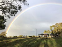 Book Napoleons Accommodation Vacations Tourism Noosa Tourism Noosa
