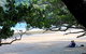 Cow Bay Homestay B&B - thumb 1