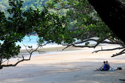 Cow Bay Homestay B&B - Tourism Noosa 1