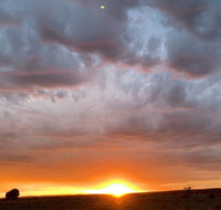 creative 3D sculpture share - Tourism Noosa