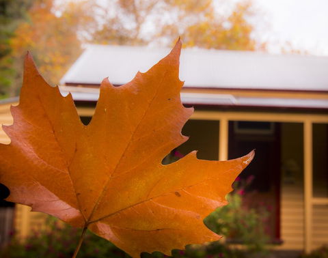 Creek Cottage - Tourism Noosa 3