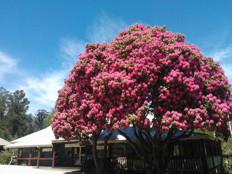 Crossways Country Inn - Tourism Noosa 0