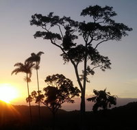 Daintree Holiday Homes - Yurara