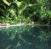 Daintree Rainforest Retreat Motel