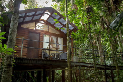 Daintree Wilderness Lodge - Tourism Noosa 2