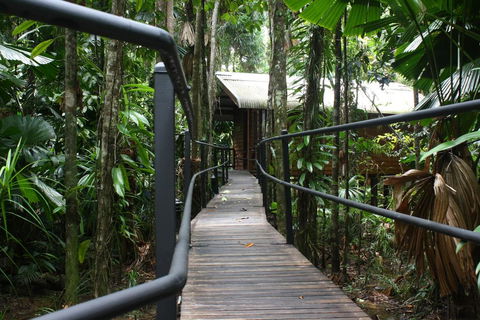 Daintree Wilderness Lodge - Tourism Noosa 0