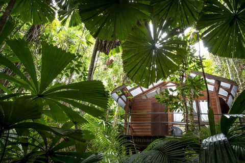 Daintree Wilderness Lodge - Tourism Noosa 1