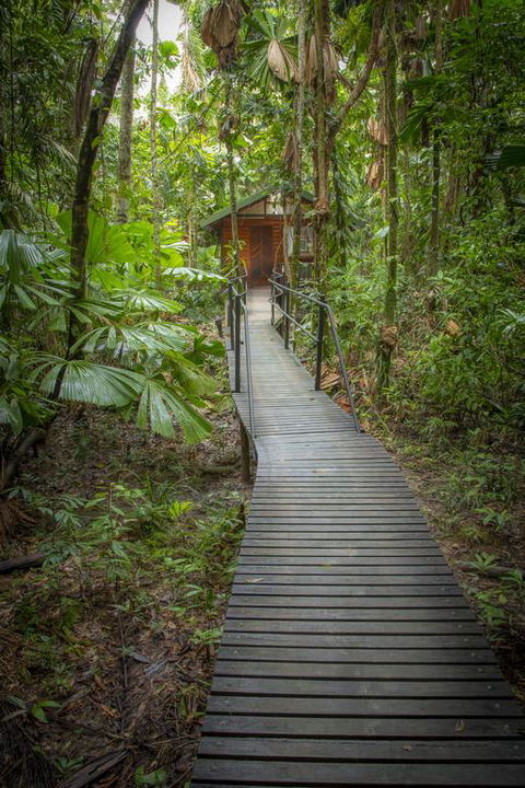 Daintree Wilderness Lodge - Tourism Noosa 3