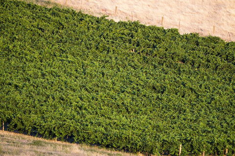 Dairyman's Cottage - Tourism Noosa 1