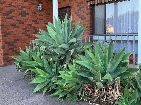 Delicate And Cozy Bedroom In Bentleigh East - Tourism Noosa 2