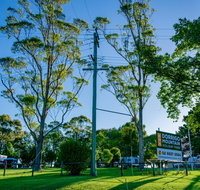Dorrigo Mountain Holiday Park - Tourism Noosa