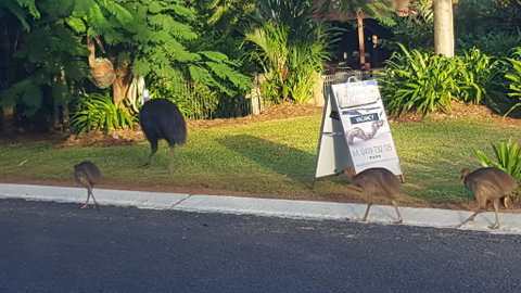 Driftwood Bed And Breakfast - Tourism Noosa 1