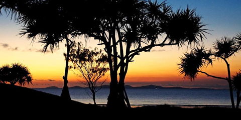 Driftwood Motel And Holiday Units - Tourism Noosa 2