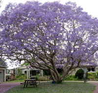 Ecotel Narooma - Tourism Noosa