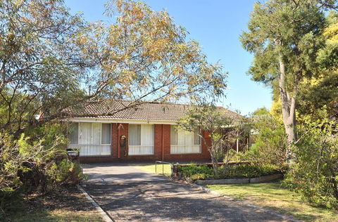 Endless Summer - Tourism Noosa 0