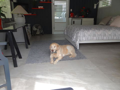 Eumundi Yacht Club B&B - Tourism Noosa 1