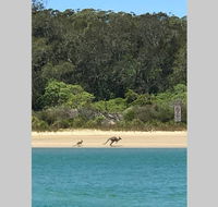 FAIRVIEW COTTAGE 25B - Waterfront accommodation - Tourism Noosa