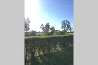 Book Benalla Accommodation Vacations Tourism Noosa Tourism Noosa