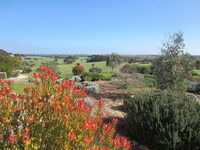 Book Haines Accommodation Vacations Tourism Noosa Tourism Noosa