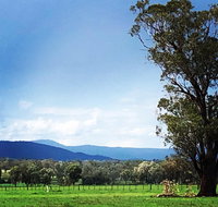 Fourjay Farmstay - Tourism Noosa
