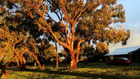 French Island Cottage - Tourism Noosa 1