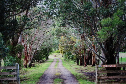 Galwiji Homestead - Tourism Noosa 1