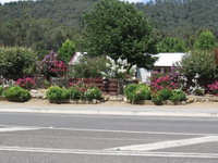 Book Bright Accommodation Vacations Tourism Noosa Tourism Noosa