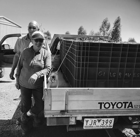 Gilgraves Vineyard Farmstay - Tourism Noosa 2