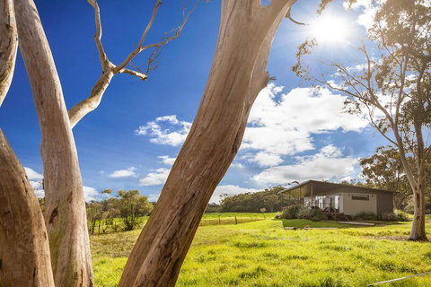 Glenworth Valley Outdoor Adventures - Tourism Noosa 1