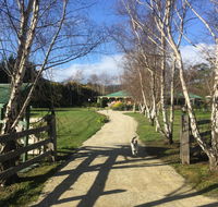 Green Gables BB - Tourism Noosa