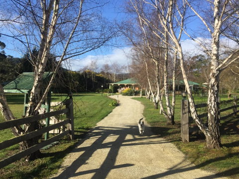 Green Gables B&B - Tourism Noosa 0