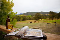 Book Gruyere Accommodation Vacations Tourism Noosa Tourism Noosa